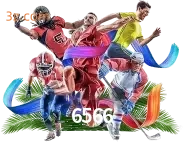 sport 6566